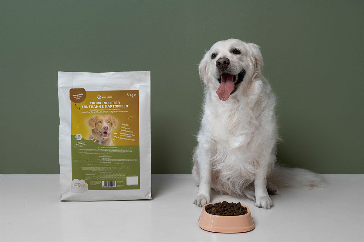 Hypoallergenes Hundefutter fr sensible Hunde  Wuff's Best