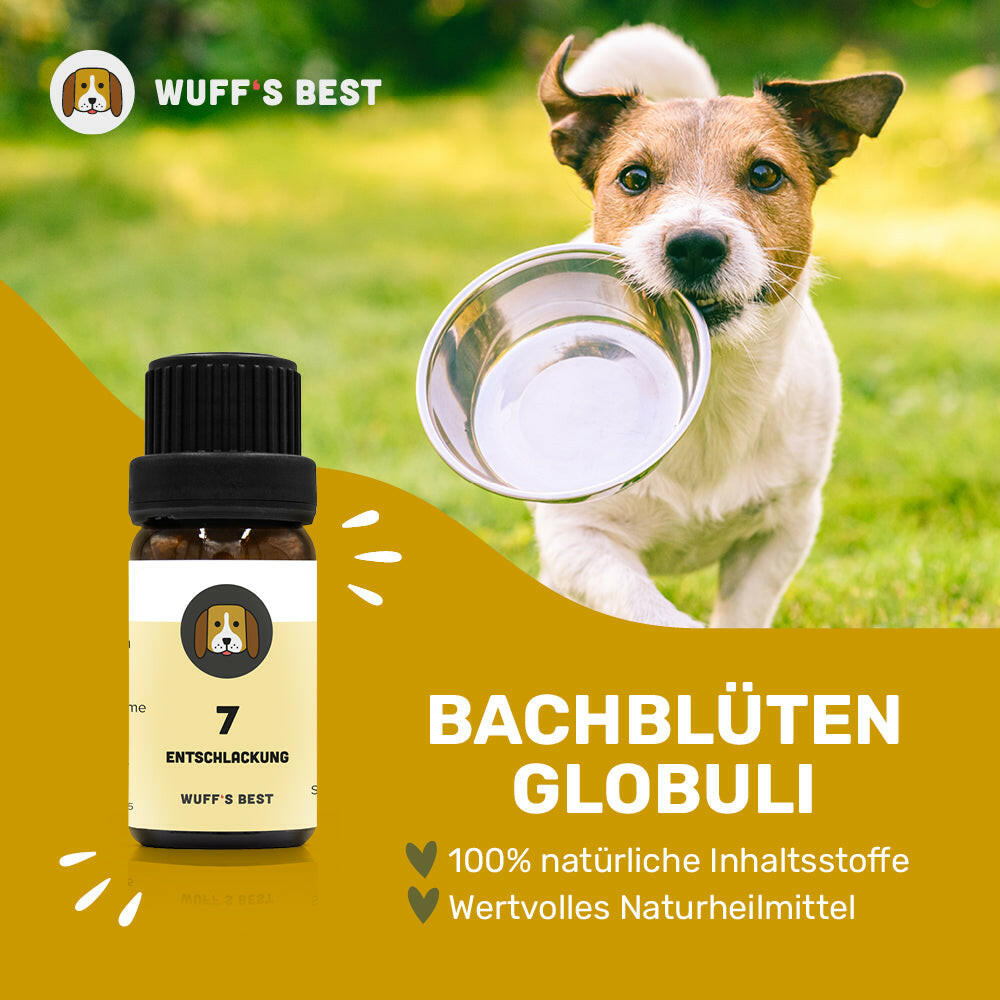 Bachblüten_Entschlackung_Globuli_Nr.7