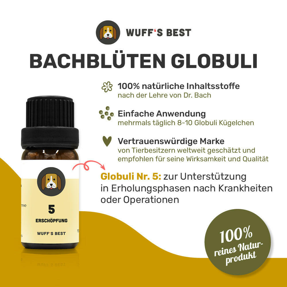 Bachblüten_Erschöpfung_Globuli_Nr.5
