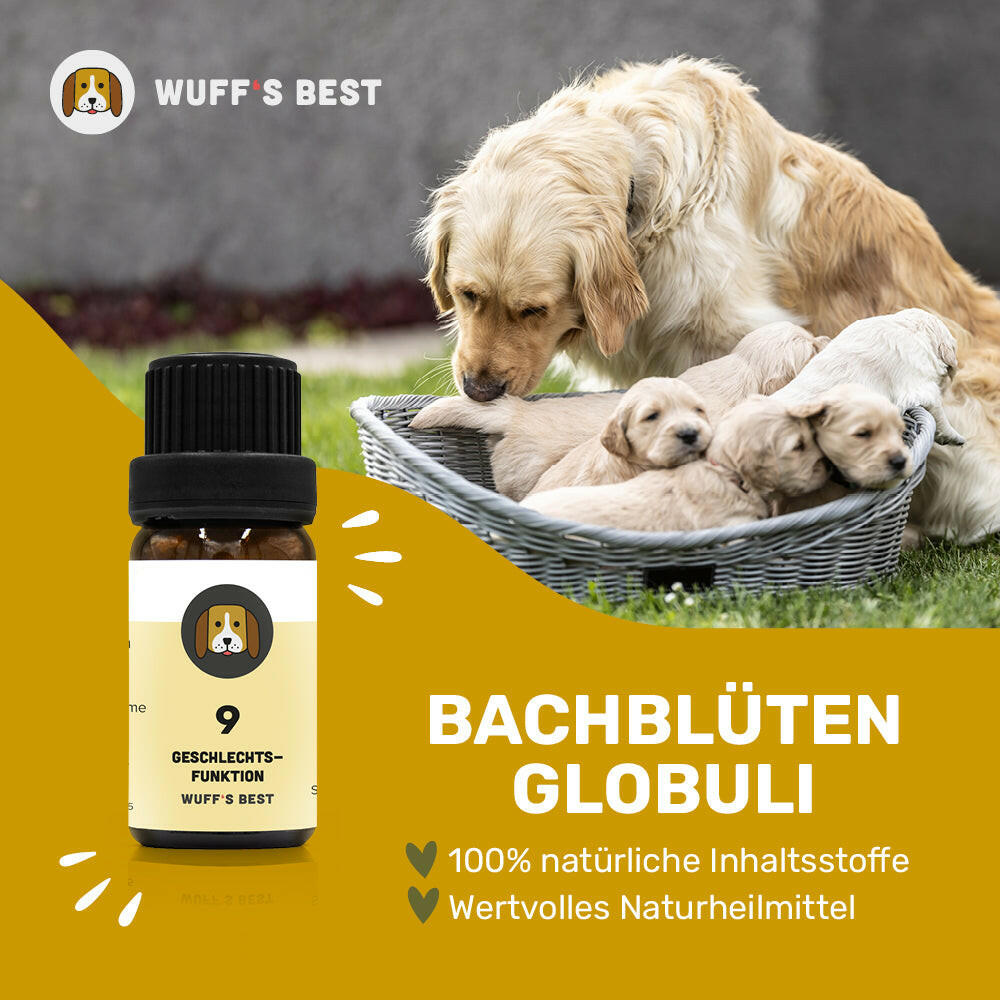 Bachblüten_Geschlechtsfunktion_Globuli_Nr.9