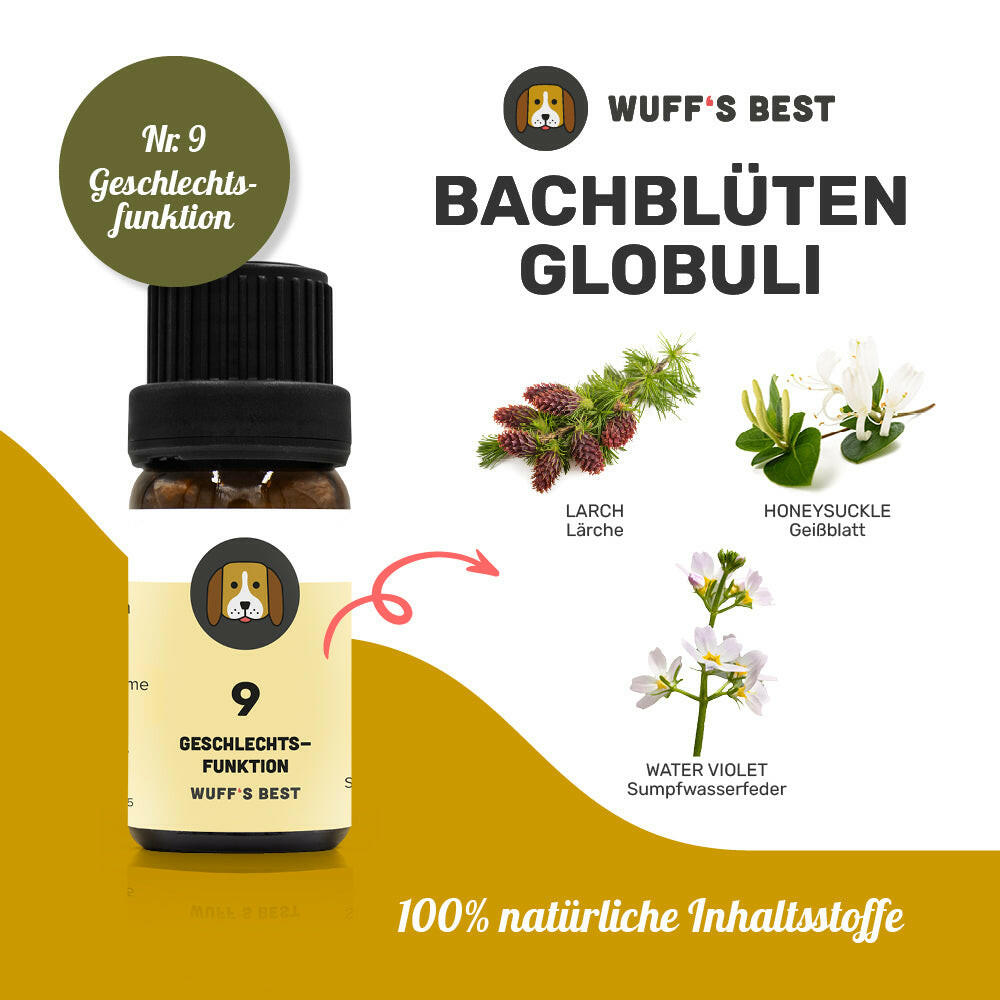 Bachblüten_Geschlechtsfunktion_Globuli_Nr.9