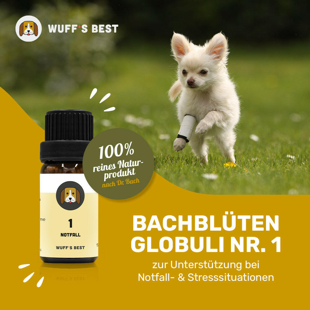 Bachblüten_Notfall_Globuli_Nr.1