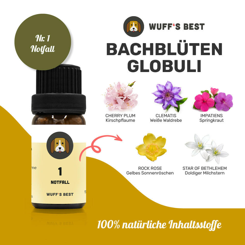 Bachblüten_Notfall_Globuli_Nr.1