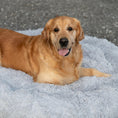 Bild in Galerie-Betrachter laden, Kuscheliges Hundebett (hellgrau)