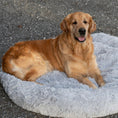 Bild in Galerie-Betrachter laden, Kuscheliges Hundebett (hellgrau)