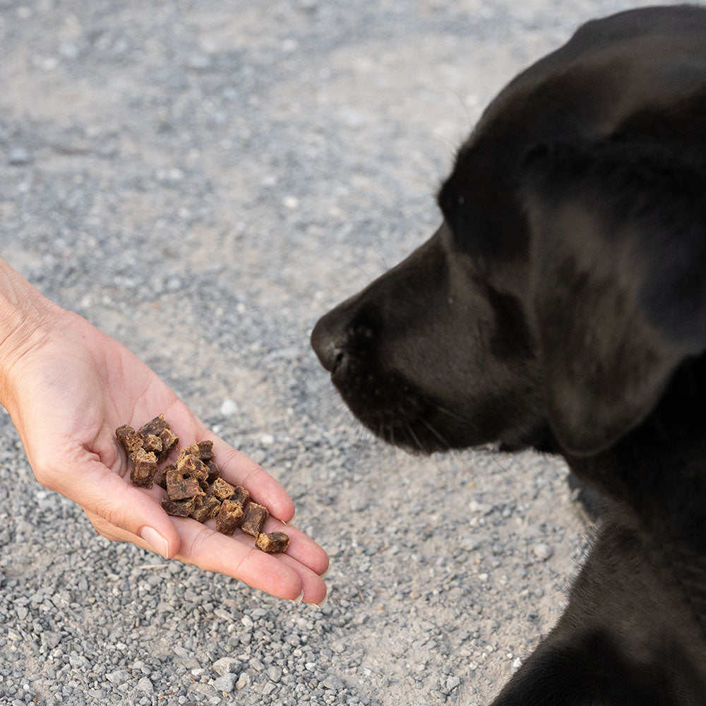 Mini Würfel Rind Hundeleckerlis (250g)