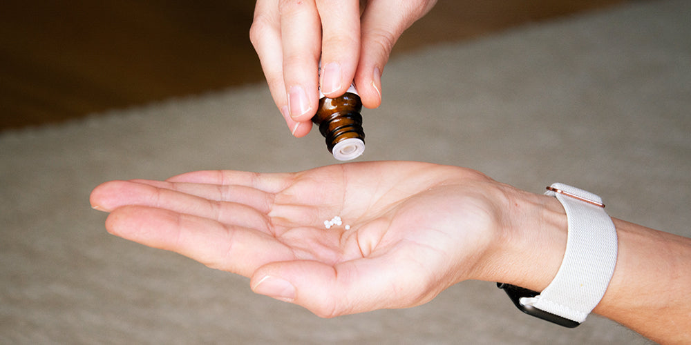 Bachblüten für Hunde