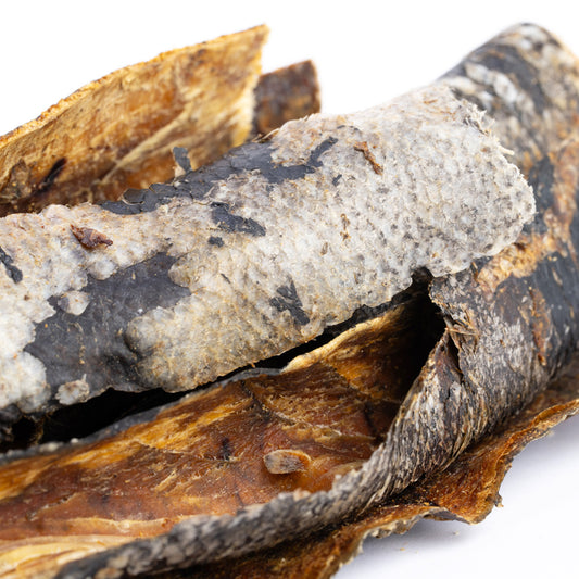Getrocknete Thunfischhaut für Hunde (70g oder 1.000g)