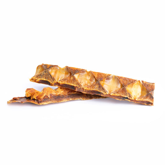 Große Thunfisch Knochen für Hunde (100g oder 1.000g)