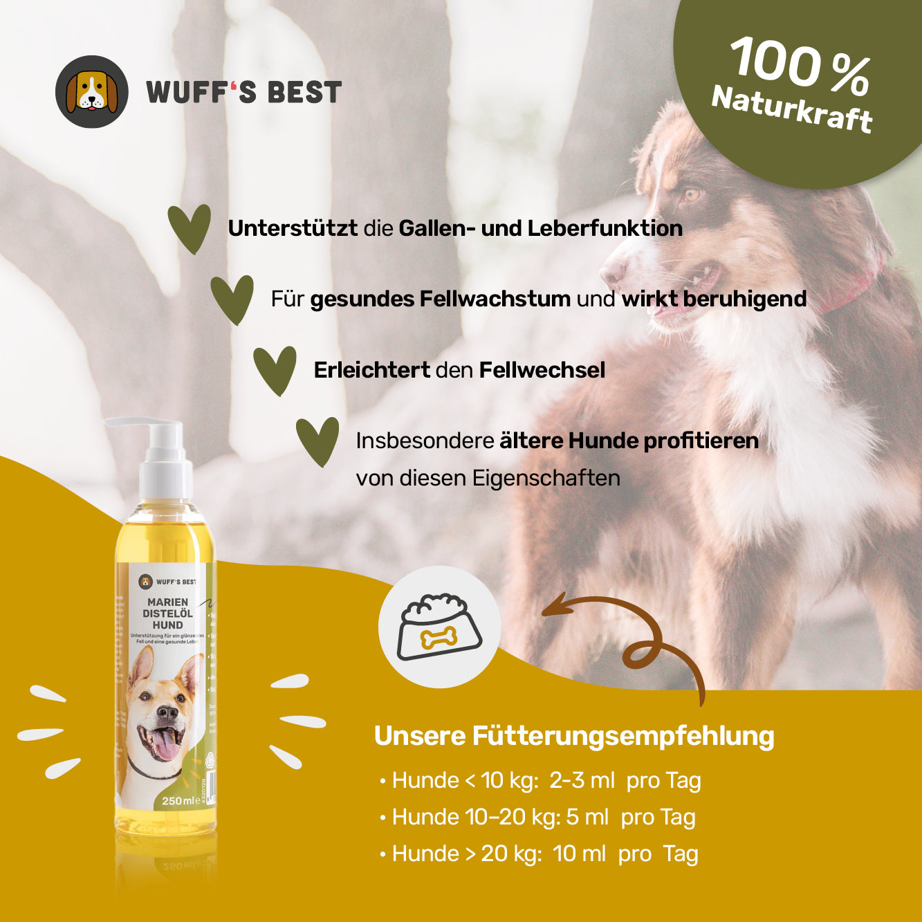 Mariendistelöl Hund (250ml Flasche)