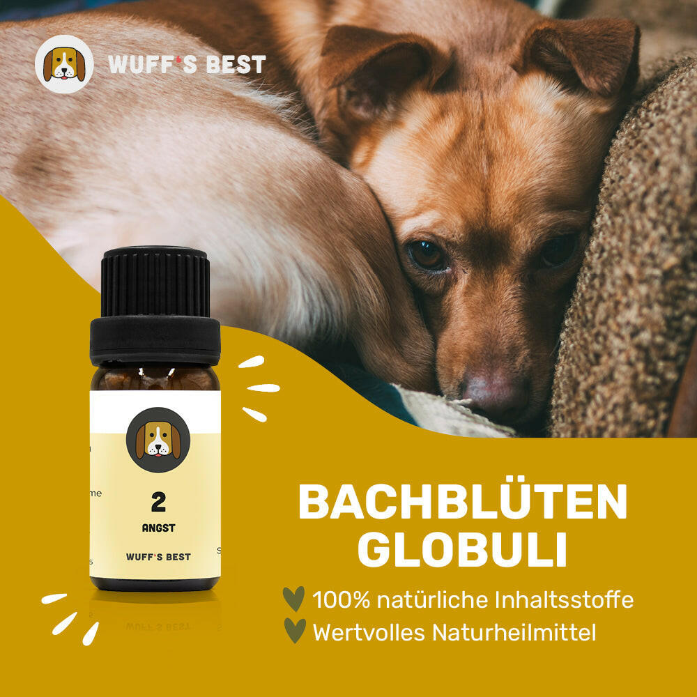 Globuli für Hunde