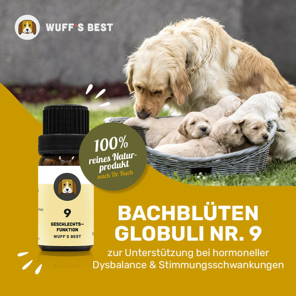 Globuli für Hunde: Geschlechtsfunktion (Nr. 9) – Wuff's Best