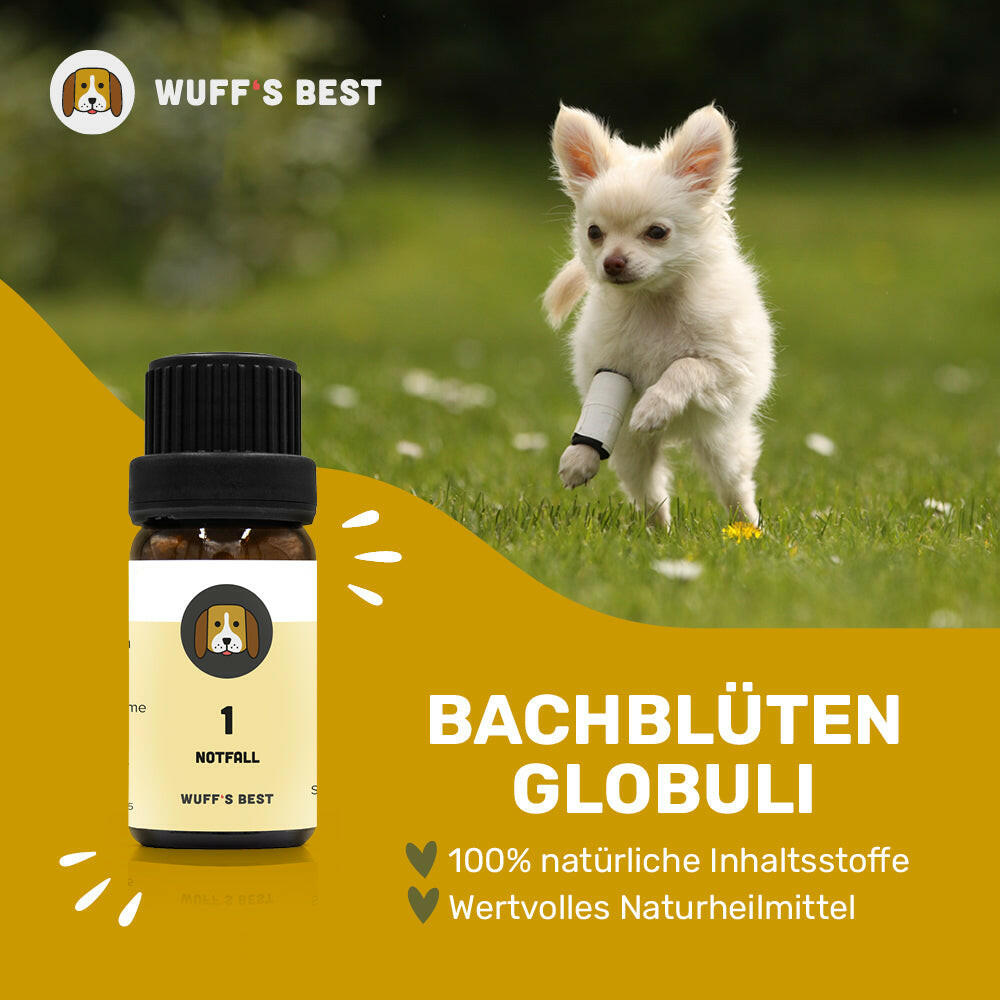 Baclofen globuli kaufen