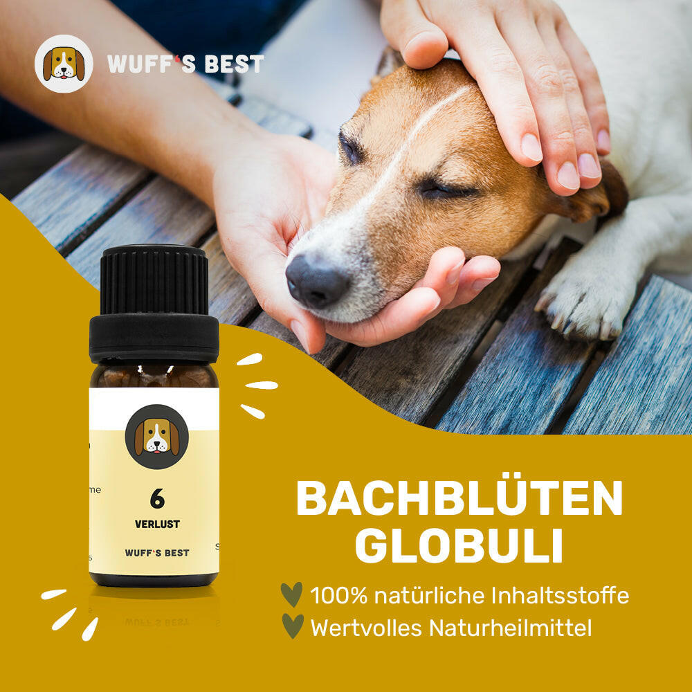 Globuli Verlustangst