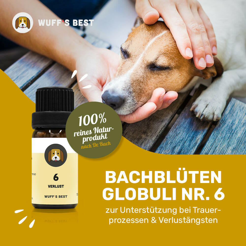 Bachblüten für Hunde: Globuli Verlust (Nr.6), 10 Gramm