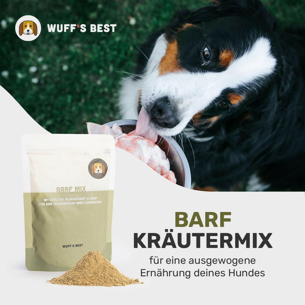 Kruter Barf: untersttz die Gesundheit deines Hundes  Wuff's Best