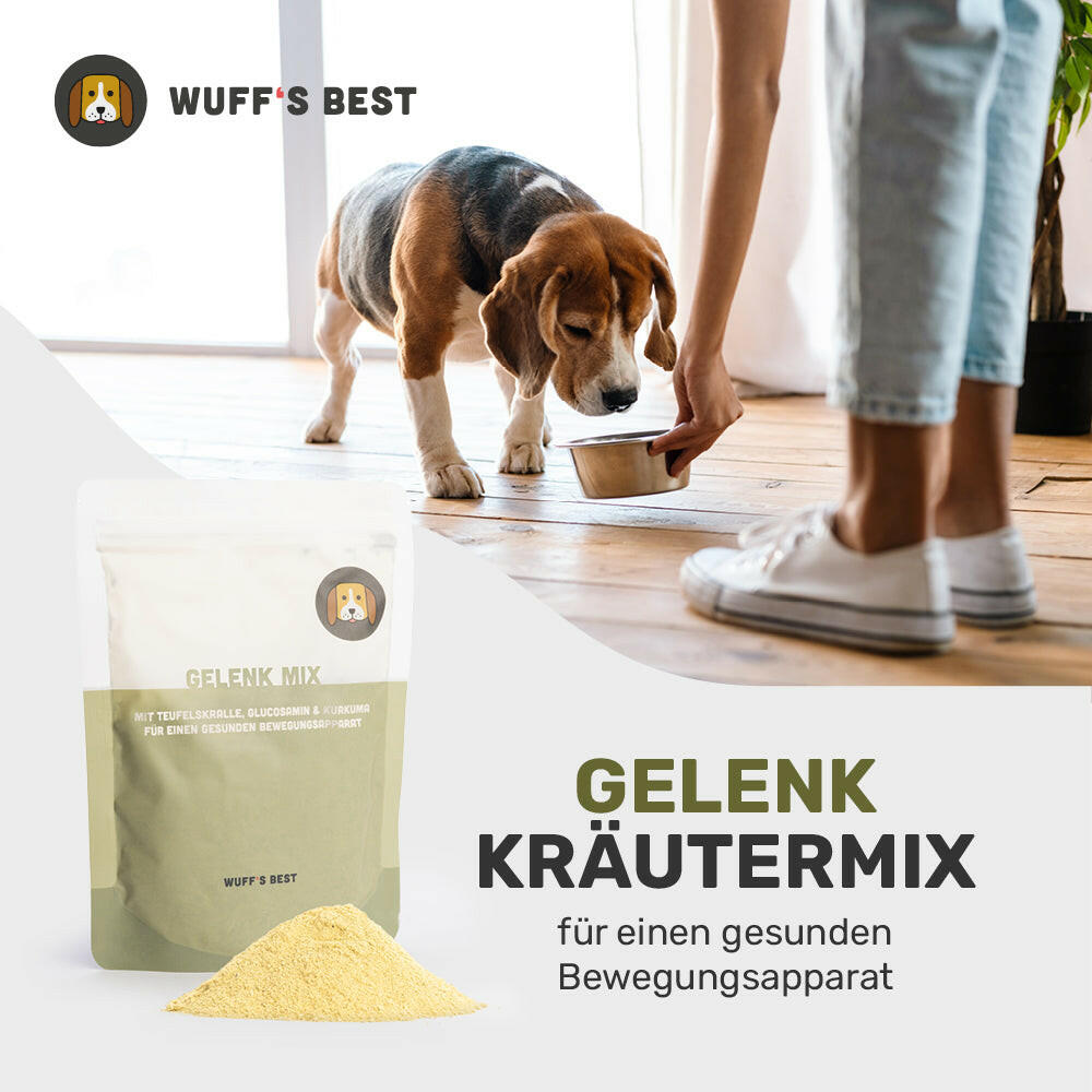 Gelenk_Kräutermix_Kräuter_für_Hunde