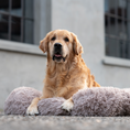 Bild in Galerie-Betrachter laden, Kuscheliges Hundebett (beige)
