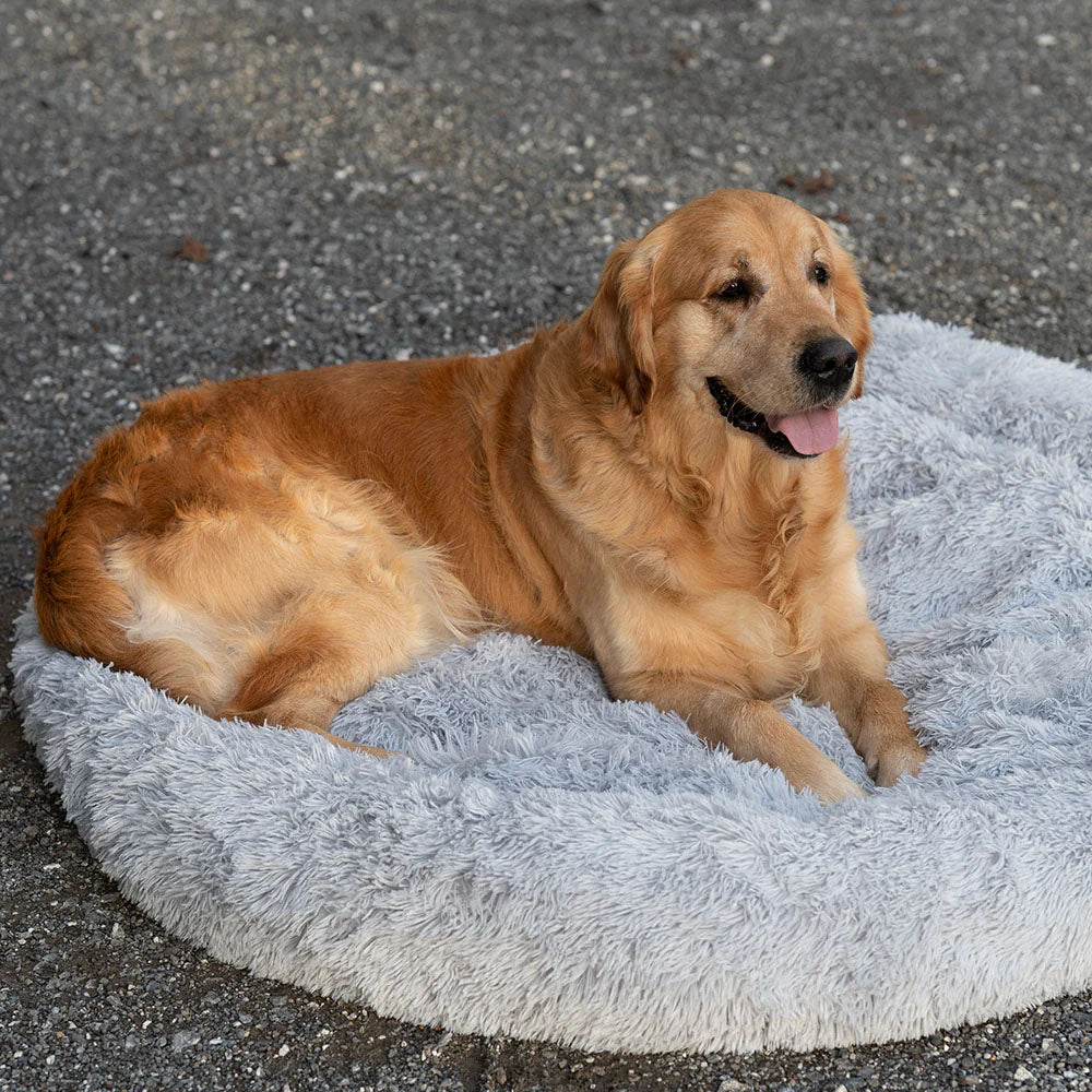 Hundebett für traumhaften Komfort für deinen Hund – Wuff's Best