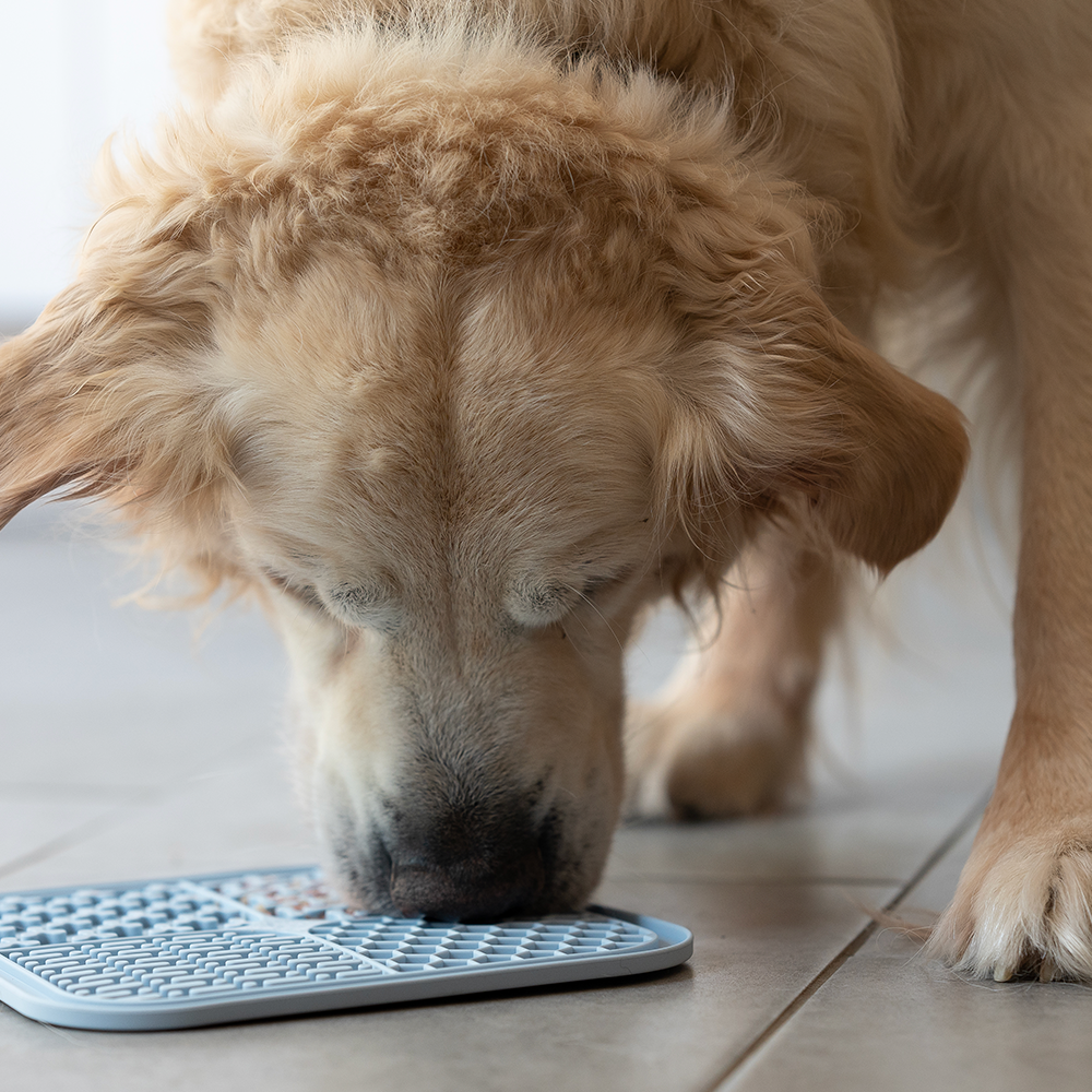 Schleckmatte für Hunde (blau).