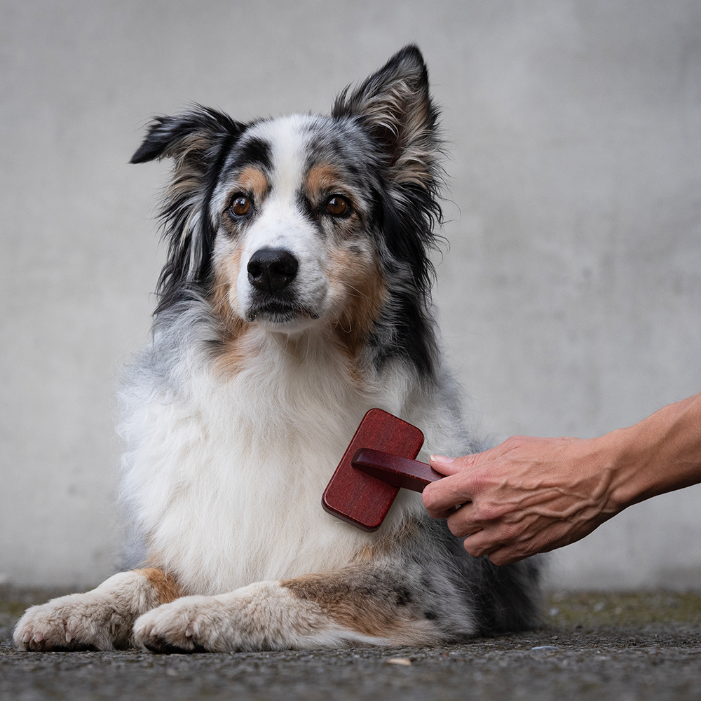 Hundebürste Slicker für Langhaar Hunde