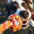 Bild in Galerie-Betrachter laden, Spieltau für Hunde aus Baumwolle
