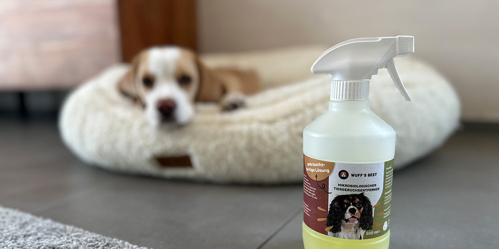 Tiergeruchsentferner