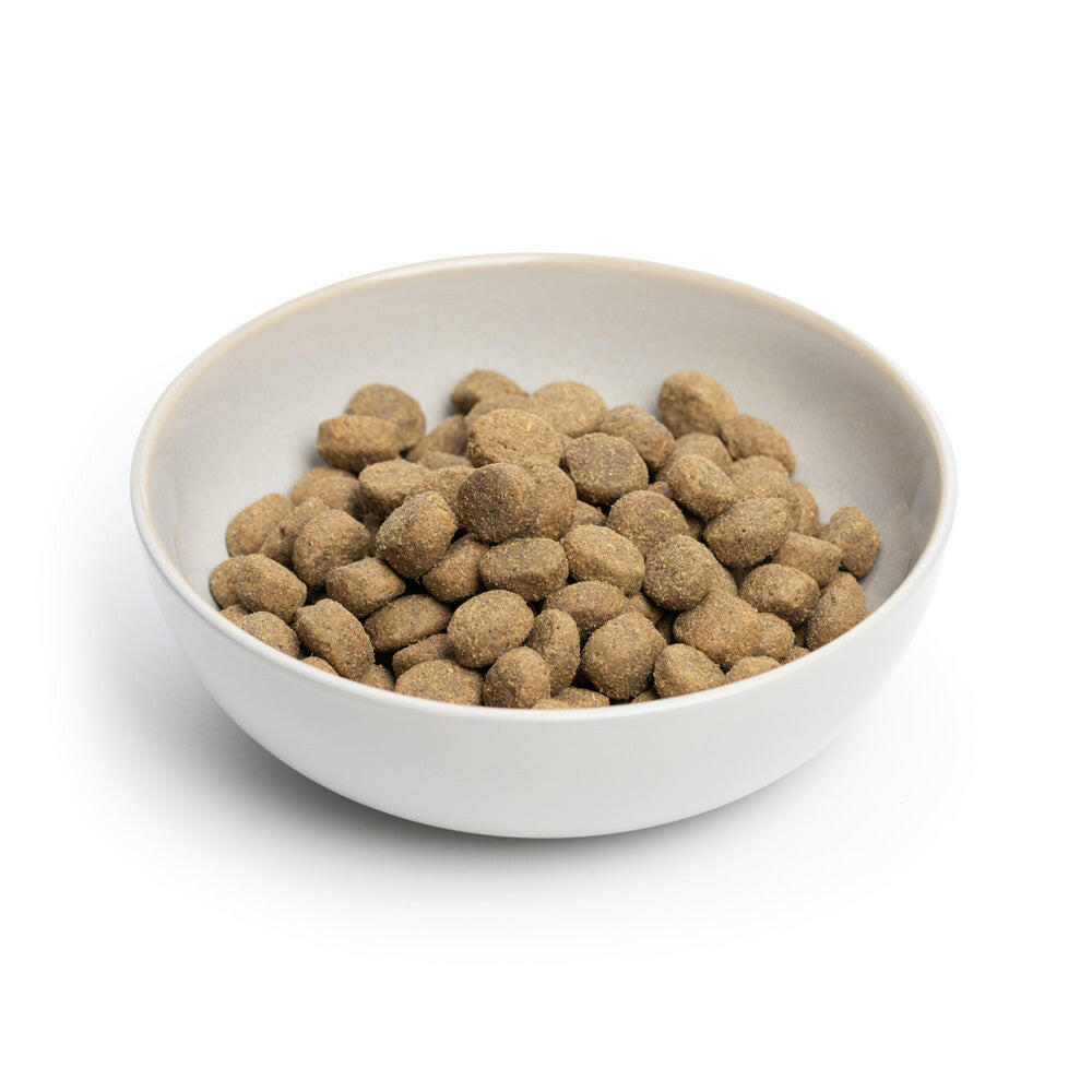 Hundefutter Strauß Kartoffeln