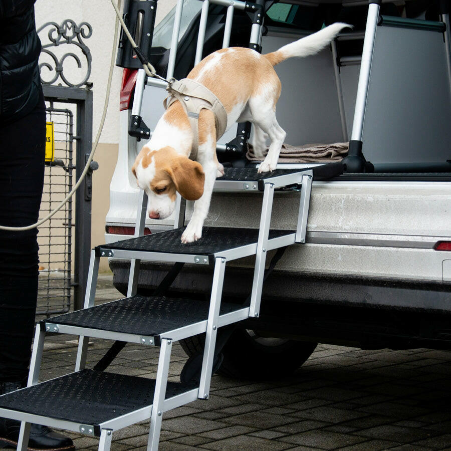 Hundetreppe (Modell 2).