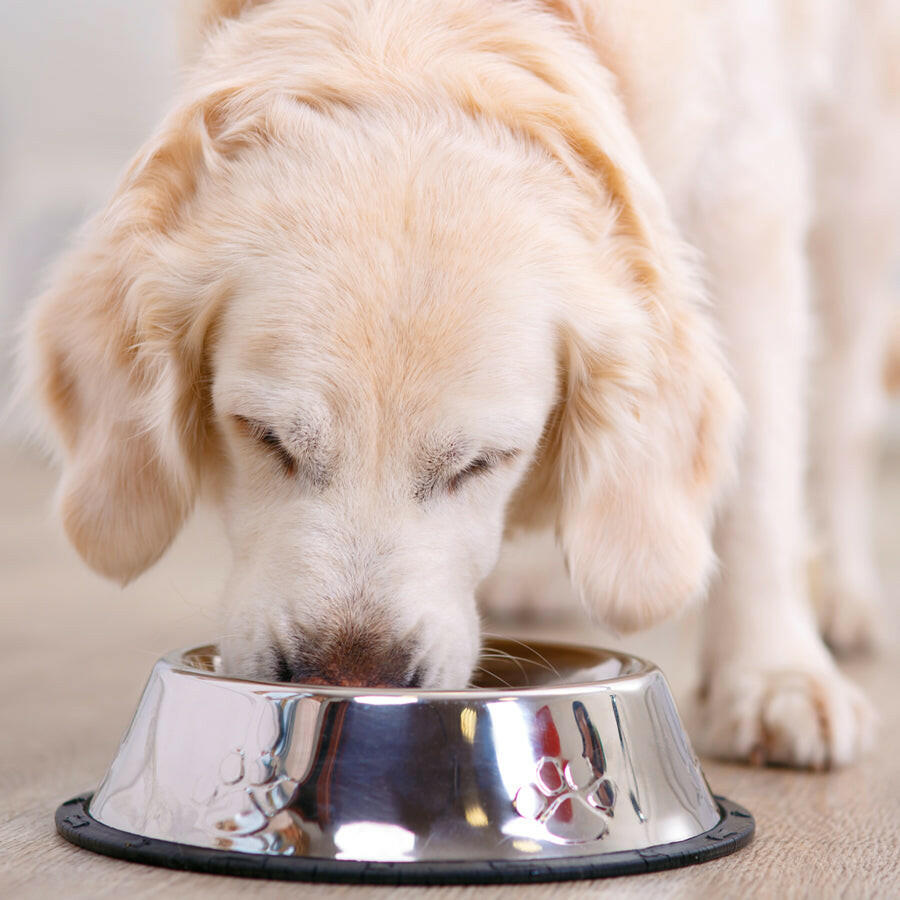 Kräuter für Hunde: BARF Kräutermix (200g).